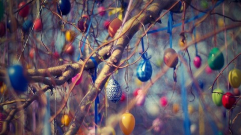 Kouzlo velikonočních kraslic (obrázek)