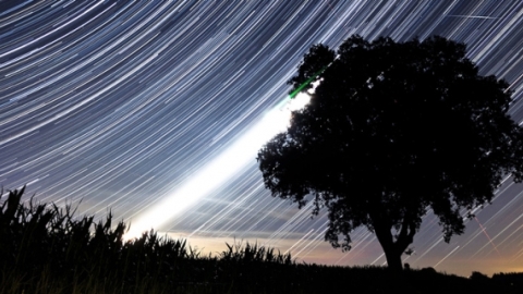 Perseidy - padající hvězdy letních nocí (obrázek)
