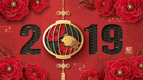 ROK 2019 podle čínské astrologie (obrázek)