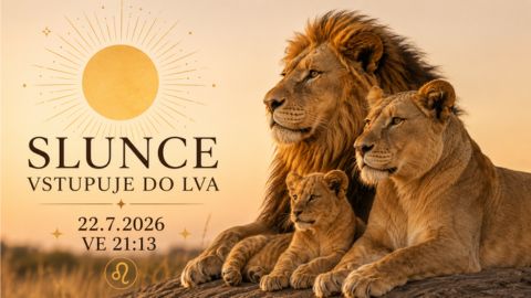 Slunce vstupuje do Lva. Na scénu přicházejí králové, královny i malá lvíčata (obrázek)